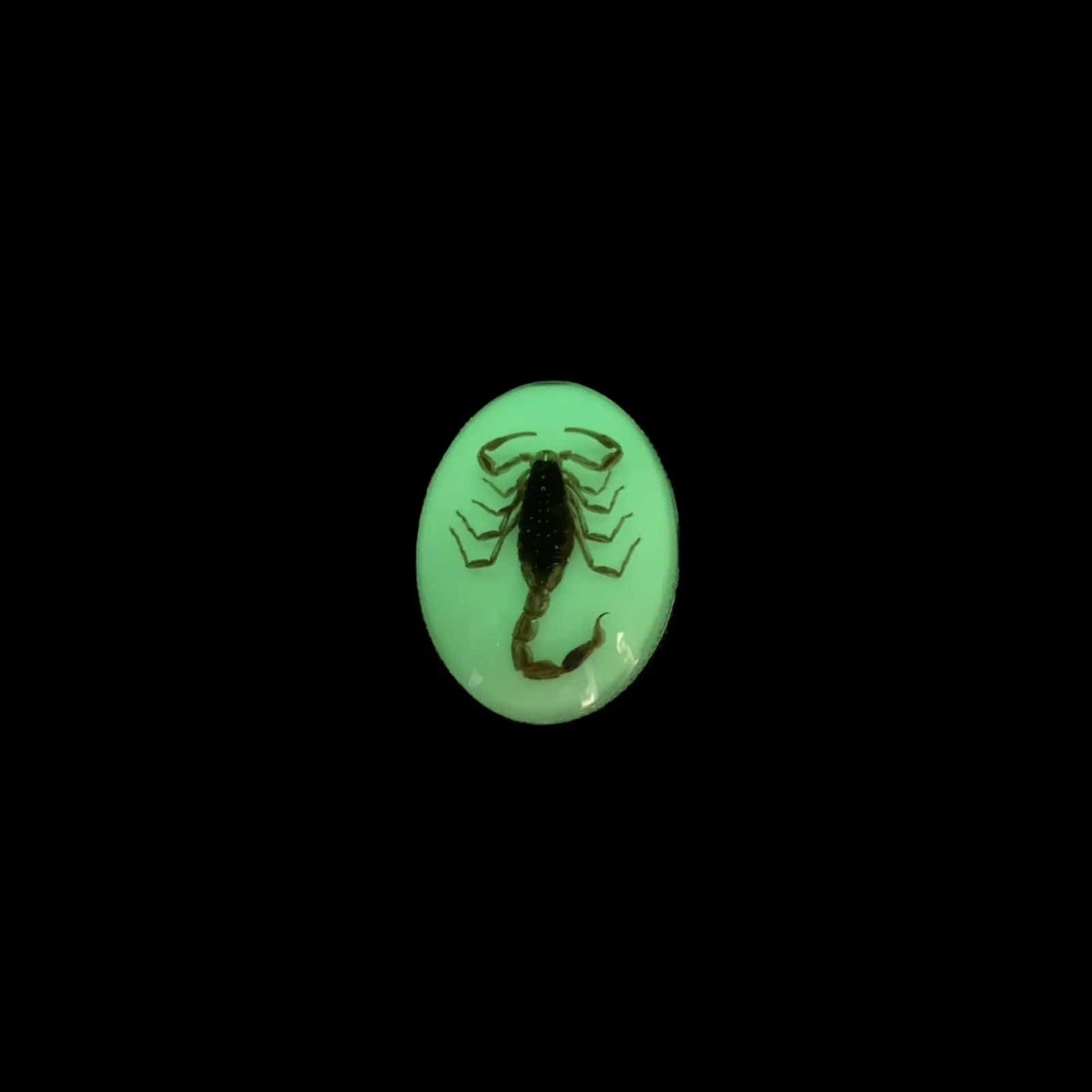 Bolo Tie Scorpion