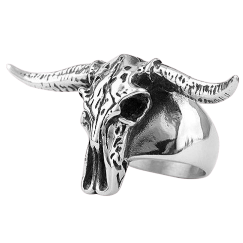 Bague Western pour Homme 54.4